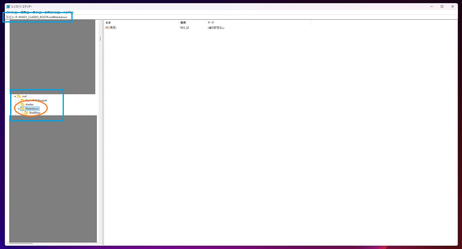 レジストリ設定